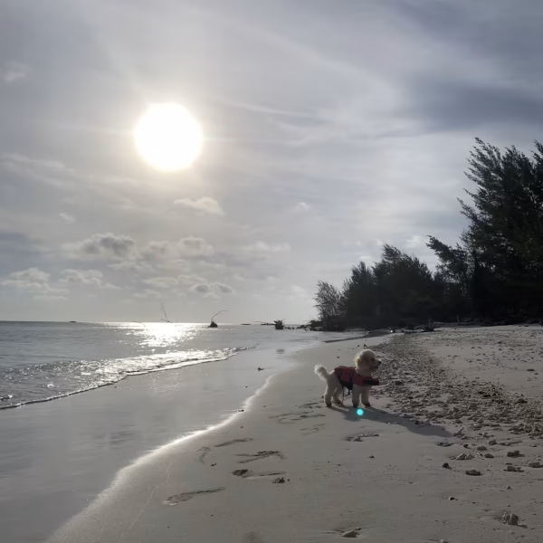 Tailor-made & Expedition Yacht Charter